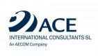 ACE INTERNATIONAL CONSULTANTS